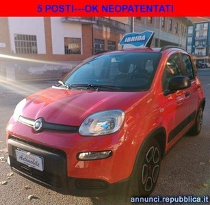 Fiat Panda 1.0 FireFly S&S Hybrid CITY LIFE 5POSTI OK NEOPAT. Santo Stefano Belbo