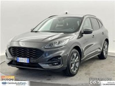 Ford Kuga Kuga 1.5 ecoboost ST-Line X 2wd 150cv del 2020 usata a Albano Laziale