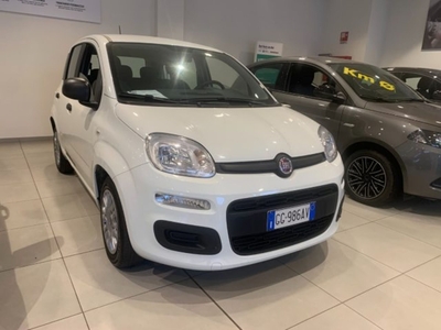 Fiat Panda 1.0 FireFly S&S Hybrid City Cross usato