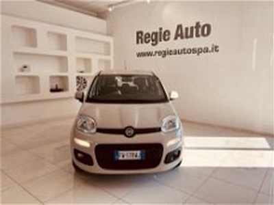 Fiat Panda 1.2 Lounge del 2017 usata a Viterbo