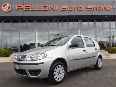 Fiat Punto Classic 1.2 5 porte Active usato