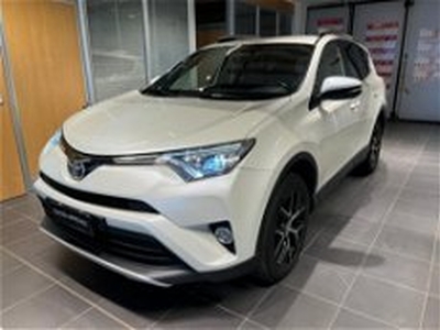 Toyota RAV4 D-4D 2WD Style del 2016 usata a Albano Vercellese