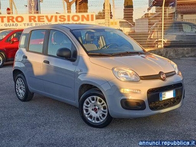 Fiat Panda 1.2 Easy Fiumicino