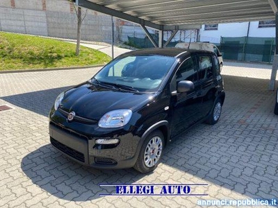 Fiat Panda PROMO FINANZ. 1200 GPL KM ZERO Castello di Annone
