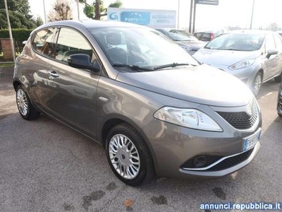 Lancia Y Ypsilon 1.2 Gold 69cv - Per Neopat. Ponte di Piave