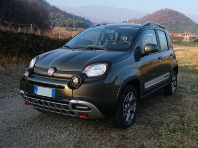 Usato 2020 Fiat Panda Cross 0.9 Benzin 86 CV (17.900 €)