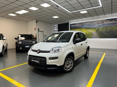 Fiat Panda 1.0 FireFly S&S Hybrid Launch Edition nuovo