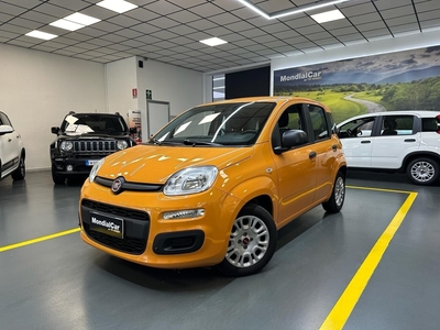 Fiat Panda 1.0 FireFly S&S Hybrid Launch Edition usato