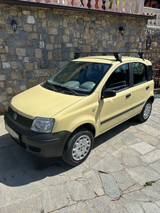 Fiat Panda 1.2 4x4 usato