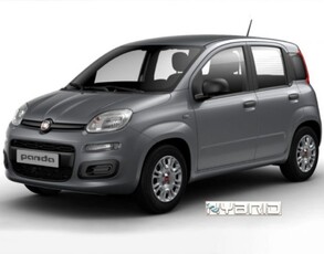 Fiat Panda 1.0 FireFly S&S Hybrid usato