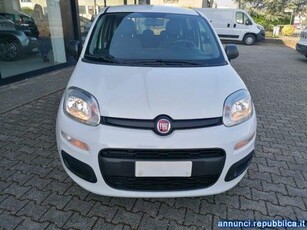 Fiat Panda 1.2 Easy Ferrara