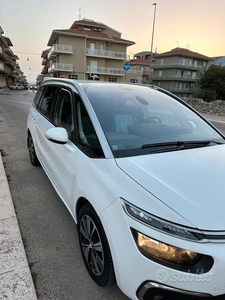 Usato 2019 Citroën C4 2.0 Diesel 163 CV (12.000 €)