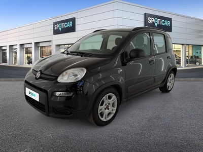 Fiat Panda 1.0 firefly hybrid City Life s&s 70cv 5p.ti