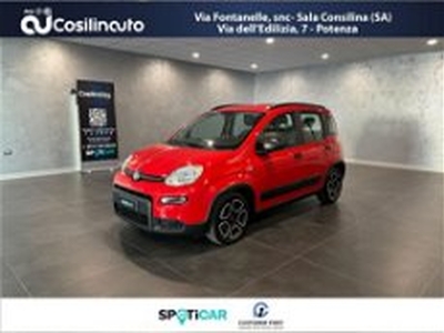 Fiat Panda 1.0 FireFly S&S Hybrid City Cross del 2022 usata a Sala Consilina