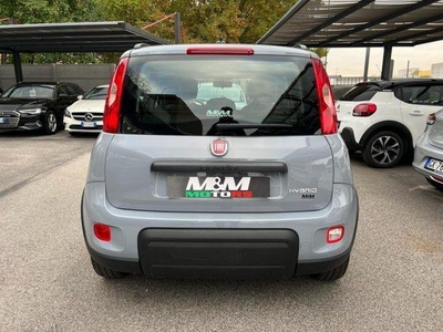 FIAT PANDA 1.0 FireFly S&S Hybrid City Life #VARI COLORI