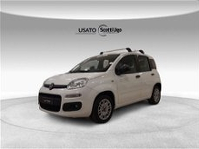 Fiat Panda 1.0 GSE S&S Hybrid Easy Van 4 posti del 2021 usata a Tavarnelle Val di Pesa