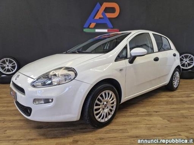 Fiat Punto 1.3 MJT S&S 85CV Lounge OK NEOPATENTATI Parma