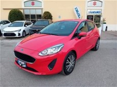 Ford Fiesta 1.5 EcoBlue 5 porte Business High del 2020 usata a Bologna