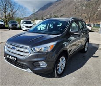 Ford Kuga 1.5 EcoBoost 120 CV 2WD Titanium del 2017 usata a Belluno