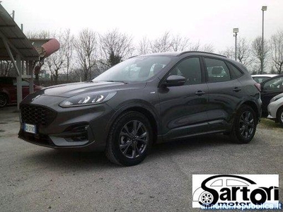 FORD - Kuga - 1.5 TDCI 120 CV S&S 2WD ST-Line