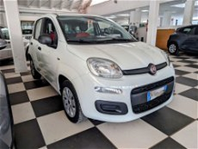 Fiat Panda 1.2 Pop del 2018 usata a Cortona