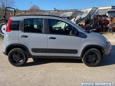 Fiat Panda 4X4 KM 54627 ANNO 2019 Acquasparta