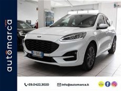 Ford Kuga 2.5 Plug In Hybrid 225 CV CVT 2WD ST-Line del 2020 usata a Silea