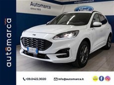 Ford Kuga 2.5 Plug In Hybrid 225 CV CVT 2WD ST-Line del 2022 usata a Silea