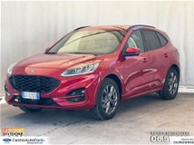 Ford Kuga Kuga 1.5 ecoboost ST-Line X 2wd 150cv del 2020 usata a Albano Laziale