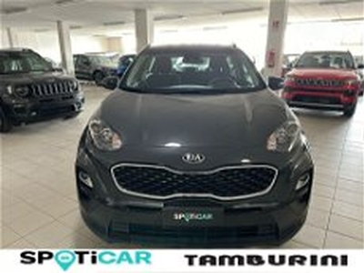 Kia Sportage 1.6 CRDI 115 CV 2WD Business Class del 2021 usata a Cortona