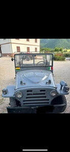 Usato 1987 Fiat Campagnola 2.0 Benzin 79 CV (10.000 €)