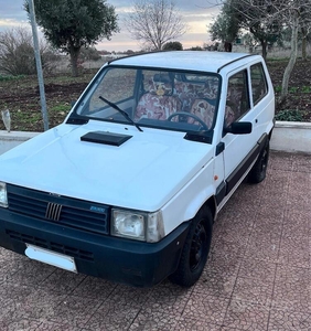Usato 1992 Fiat Panda 4x4 Benzin (2.000 €)