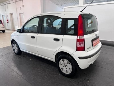 Usato 2005 Fiat Panda 1.3 Diesel 69 CV (6.000 €)