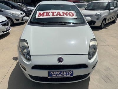 Usato 2013 Fiat Punto 1.4 CNG_Hybrid 78 CV (5.300 €)