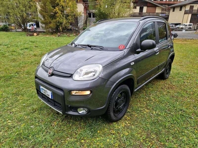 Usato 2018 Fiat Panda 4x4 0.9 Benzin 86 CV (14.800 €)