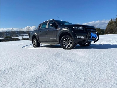 Usato 2018 Ford Ranger 2.2 Diesel (35.000 €)