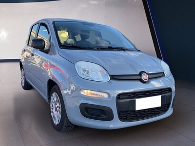 Usato 2020 Fiat Panda 1.0 El_Benzin 70 CV (11.500 €)