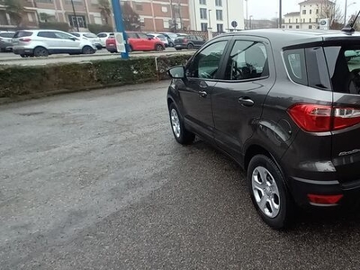 Usato 2020 Ford Ecosport 1.0 Benzin 99 CV (17.500 €)