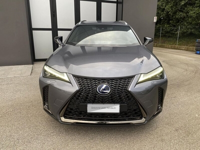 Usato 2020 Lexus UX 2.0 El_Hybrid 184 CV (30.900 €)