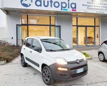 Usato 2021 Fiat Panda 4x4 0.9 Benzin 80 CV (9.900 €)