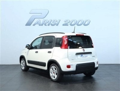 Usato 2023 Fiat Panda 1.0 El 71 CV (14.900 €)