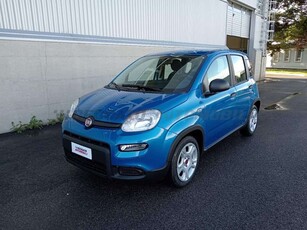 Fiat Panda 51 kW