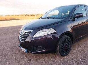 Lancia Ypsilon 1.3 MJT 16V 95 CV 5 porte S&S Gold