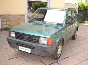 FIAT Panda 1ª serie 900 i.e. cat Young