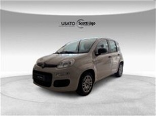 Fiat Panda 1.2 Easy del 2016 usata a Tavarnelle Val di Pesa