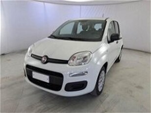 Fiat Panda 1.2 Easy del 2020 usata a Corciano