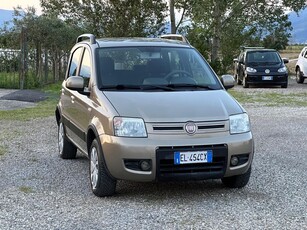 Fiat Panda 1.4 Climbing Natural Power