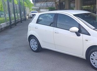 FIAT Punto 1.3 MJT II 75 CV 5 porte Lounge NEOPATENTATI Diesel