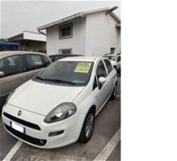 Fiat Punto 1.3 MJT II S&S 95 CV 5 porte Lounge del 2017 usata a Altopascio