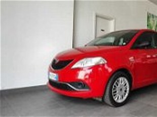 Lancia Ypsilon 1.3 MJT 16V 95 CV 5 porte S&S Silver del 2018 usata a Empoli